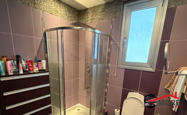 viber_image_2026-02-13_18-22-48-823